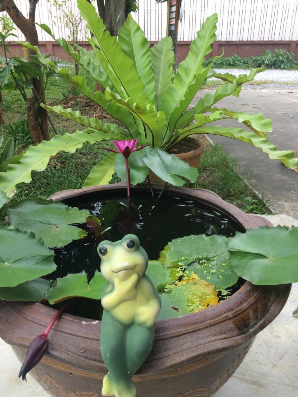 Lotus Place Сукотаи Экстерьер фото